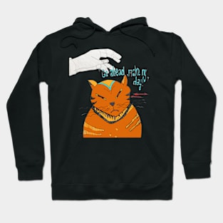 Cat Glare Hoodie